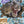 Load image into Gallery viewer, Kit &amp; Caboodle - Dig &amp; Build Your Own T-rex
