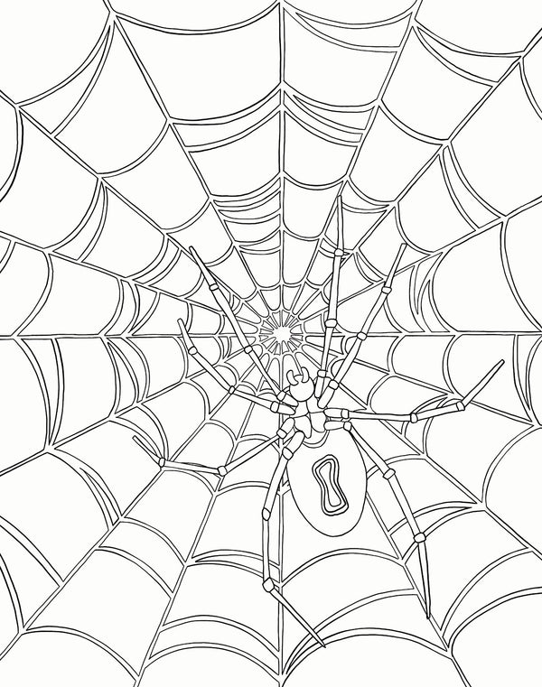 Gallery Wall Art - Bugs