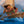Load image into Gallery viewer, Disney Moana - Wind-Up Music Box Book
