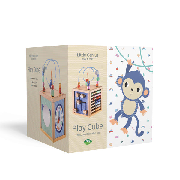 Little Genius Play & Learn - Play Cube