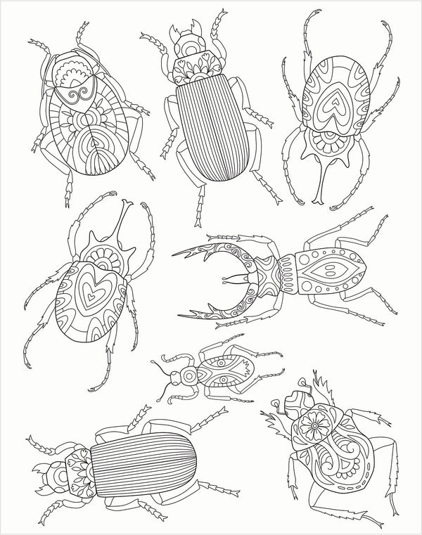 Gallery Wall Art - Bugs