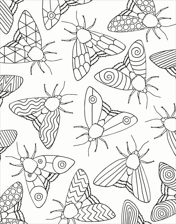 Gallery Wall Art - Bugs