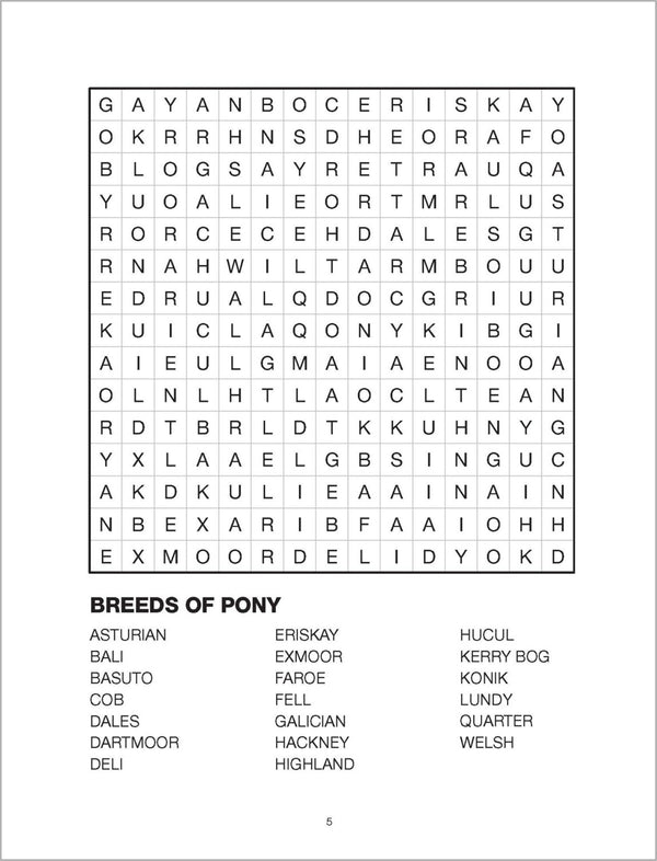Large Print Bumper Puzzle Book - Word Search (orange banner)