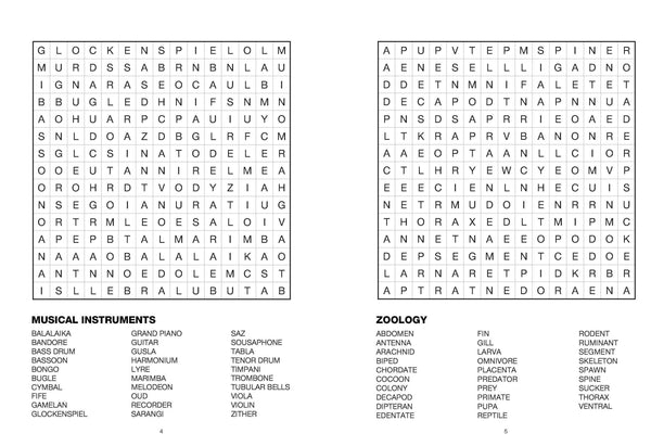 Large Print Puzzle - Word Search