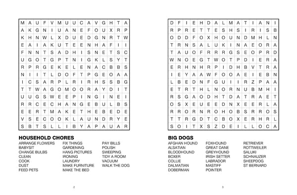 Large Print Puzzle Book - Word Search