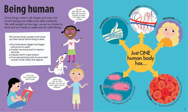 FunFacts - Book & Jigsaw - The Human Body