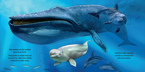 Garry Fleming's Sea Animal Sounds Pop-Up Book