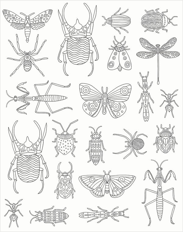 Gallery Wall Art - Bugs
