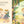 Load image into Gallery viewer, The Lost Dino Egg - Picture Book
