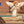 Load image into Gallery viewer, Story Time - Padded Board Book - The Nativity
