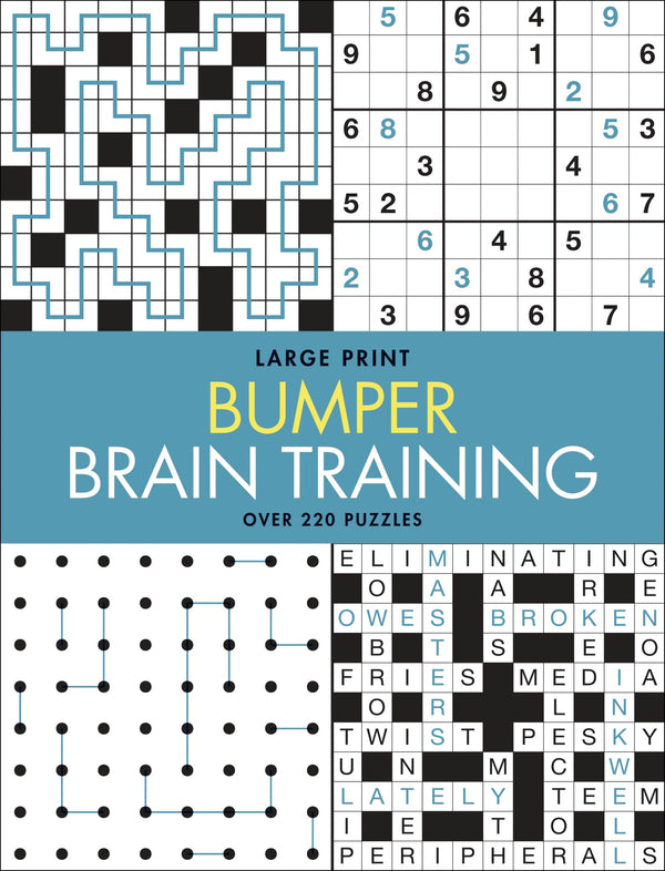 Large Print Bumper Puzzle Book - Brain Training (blue banner)