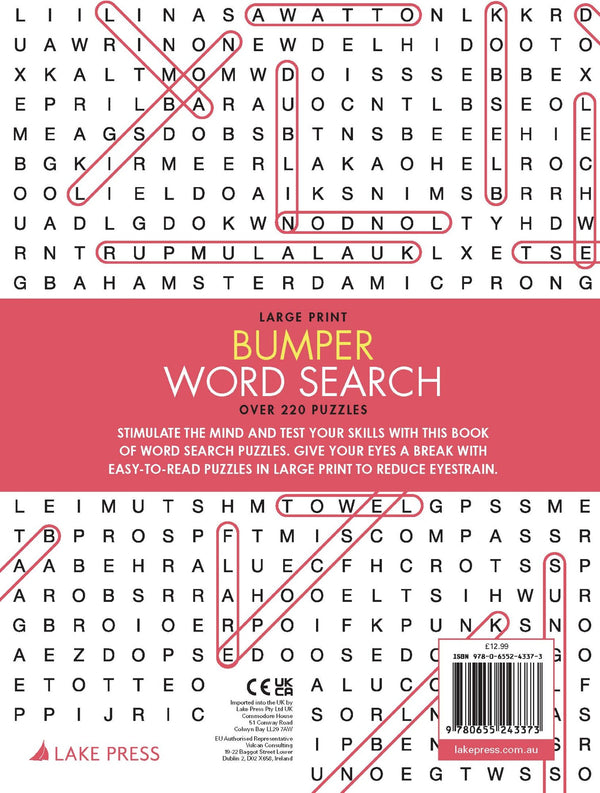 Large Print Bumper Puzzle Book - Word Search (orange banner)
