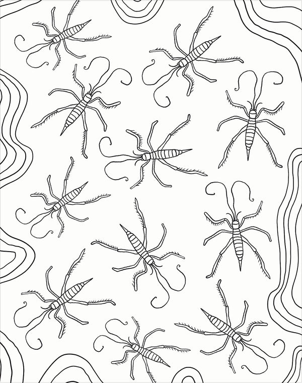 Gallery Wall Art - Bugs