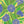 Load image into Gallery viewer, Etch Art - Botanicals
