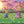 Load image into Gallery viewer, Story Time - Padded Board Book - Goodnight, Sleep Tight
