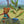 Load image into Gallery viewer, Story Time - Padded Board Book - Mouse Says Thanks
