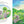 Load image into Gallery viewer, Story Time - Padded Board Book - I Will Always Love You
